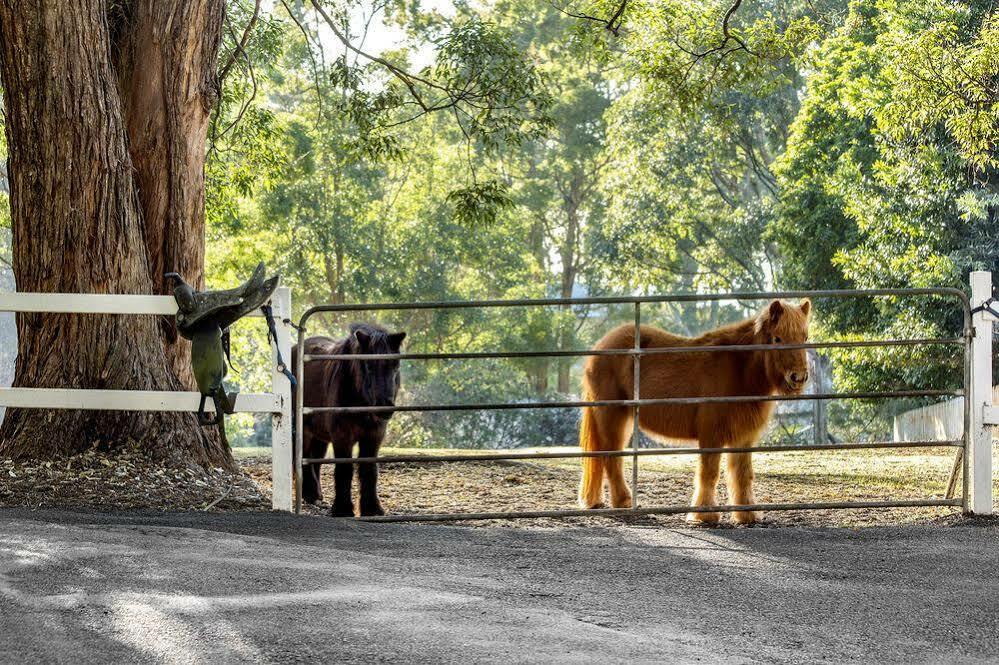 Verandah House Country Estate * Mount Tamborine
